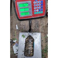 Монеты СССР 16,2 кг, без МЦ!!