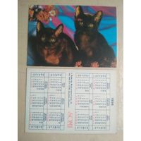Карманный календарик. Кошки . 1996 год