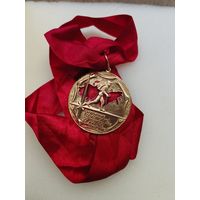 Шейная медаль МО СССР . Туризм. Окружные (флотские) соревнования на лучшее путешествие. Чемпион.