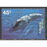Австралийская Антарктика. Крестовидный делфин. 1995г. Mi#102.