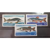 Болгария. 1983 год. Фауна. Рыбы (3 марки из серии, повреждение клея)