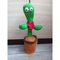 Куплю Поющий Танцующий Кактус ТОЛЬКО В МИНСКЕ. ПОЧТОЙ НЕ ВЫСЫЛАЮ