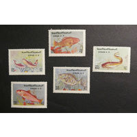 Сирия 1978 г. Пресноводные рыбы. Фауна, полная серия из 5 марок. Чистая #0237-Ф1P46