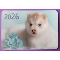Собака.  Календарик, глянец, 2026.ТРАСКО