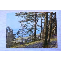 Прибалтика, Латвийская ССР, Морской берег в Пабажи; чистая.