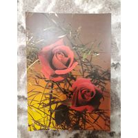 Открытка СССР чистая