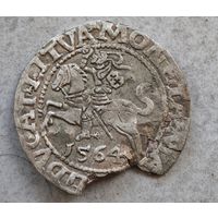 1564 полугрош