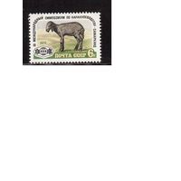 СССР-1975, (Заг.4455) **  , Симпозиум по каракулеводству