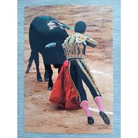 Этнография, коррида