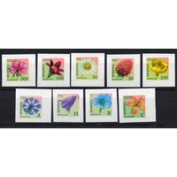 Беларусь 2002. Стандарт 6-й выпуск Флора 9 марок  (248)