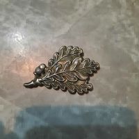 "Дубовые листья ". Кокарда на кепи немецких егерей.