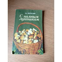Книга \033