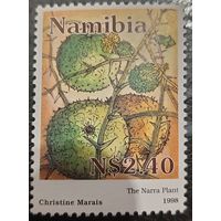 Намибия 1998. Флора. The narra plant