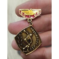 Дсо локомотив бсср