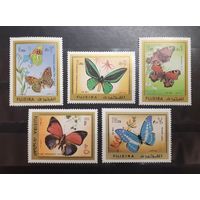 Фуджейра. 1971 год. Фауна. Бабочки (208)