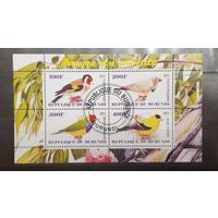 Бурунди. 2011 год. Фауна. Птицы. Блок (4 марки) (439)