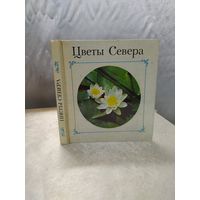 Цветы Севера