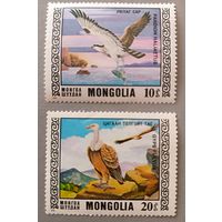 Птицы. Монголия, 1976
