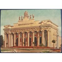 ВСХВ. Павильон животноводства. 1954 г.