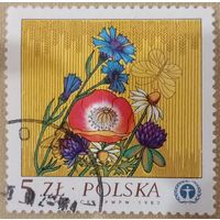 Польша 1982. Флора. Полевые цветы