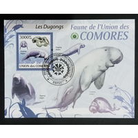 ФАУНА РЫБЫ МОРСКИЕ ОБИТАТЕЛИ    БЛОК  сто