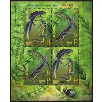 Беларусь 2012, фауна, тритоны, МЛ **MNH