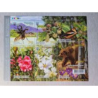 Украина. 2018. блок Карпатский заповедник флора фауна