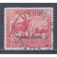 [798] Бельгийская колония.Руанда-Урунди 1925. Фауна.Скот.Зебу. Гашеная марка.