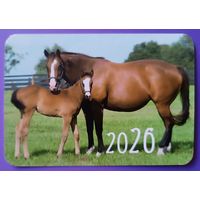 Лошади. Календарик, глянец, 2026. Траско