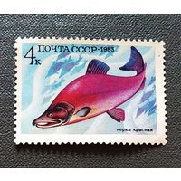 Марка СССР 1983 год Рыба