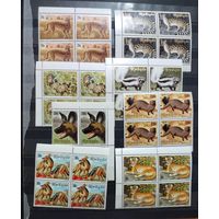 Млекопитающие в квартах 1981 год Руанда