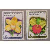 Орхидеи. Буркина-Фасо, 1996