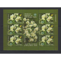 Флора кусты Беларусь 2015 Малый лист "Центральный ботанический сад."Чубушник "Эльбрус"