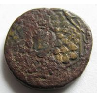 Тетрахалк Пондийское цартсво.