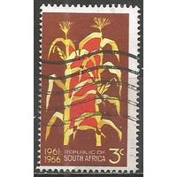 Южная Африка(Республика). 5 лет Республики. Маис. 1966г. Mi#352.
