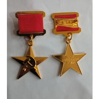 Звезда героя соцтруда   (копия)