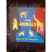 Animals  The "House of the Rising Sun" Russia