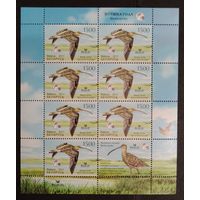 Марки Беларуси 2011 года чистый лист Птица года, Большой Кроншнеп, фауна, КМ 875 каталог1,4 евро