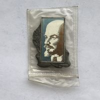 Ленин зеркальный