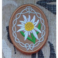 Шеврон Германия для горных дивизий в Пиренеях. Помощь Франко в Испании. Эдельвейс. Предложи свою цену или обмен!