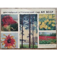 Н. В. Смольский, Л. А. Кирильчик. Центральный ботанический сад АН БССР: путеводитель.