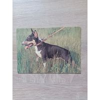 Календарик 1993