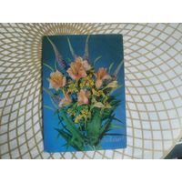 Открытка СССР 1990 год.   Чистая. И.Дергилев. Состояние на скане.