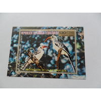 Экваториальная Гвинея, фауна,1976г