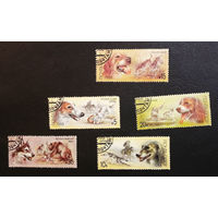 СССР 1988 г. Породы охотничьих собак. Фауна, полная серия из 5 марок #0221-Ф1P43