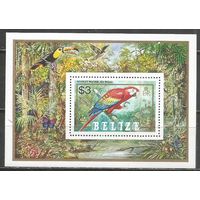 Белиз. Птицы. Попугай. 1984г. Mi#Бл66.