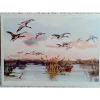 Строганава. Утренняя зорька