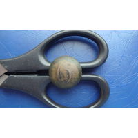 Пуговица 6                                                                                                                                        (5170)