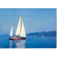 Батуми. Вид с моря. Чистая ДМПК. Фото Костенко. 1976