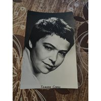 Артисты Совчи